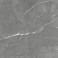 Керамогранит Imola ceramica The Rock NEGRES6120RM арт-NEGRES6 120 RM — фото 5, Керамогранит