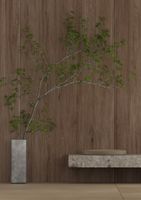 Товар: Керамогранит LaminamRus Zen Wood Maple 3,5mm арт-LAMF012855 - фото 4 Керамогранит LaminamRus Zen Wood Maple 3,5mm арт-LAMF012855 — фото 4, Керамогранит