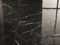 Товар: Керамогранит Fap Ceramiche Roma Gold Nero Eleganto Brill арт-fPZD - фото 7 Керамогранит Fap Ceramiche Roma Gold Nero Eleganto Brill арт-fPZD — фото 7, Керамогранит