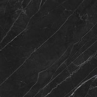 Керамогранит Laparet Opera Nero матовый арт-LP6060G0211R — фото 12, Керамогранит