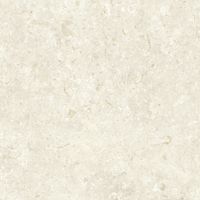 Керамогранит Grespania Fosil Bone Rec арт-81F236R — фото 3, Керамогранит