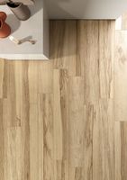 Керамогранит Ceramica Fioranese Frake Avorio арт-SFF621R — фото 5, Керамогранит