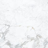 Керамогранит Porcelanite Dos Iguazu White Rectificado 1865 арт-POR_I1850_WH_100 — фото 12, Керамогранит