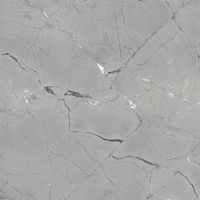 Керамогранит Museum Sublime Thunder SP/R 8mm арт-41883 — фото 14, Керамогранит