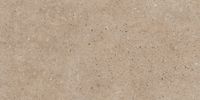 Керамогранит Grespania Pangea Tierra Rec арт-46NG22R — фото 2, Керамогранит