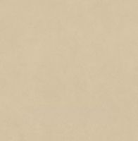 Керамогранит Atlas Concorde Italy Boost Natural Pro Sand Matt Ret арт-AQ9W — фото 1, Керамогранит