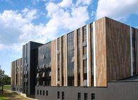 Керамогранит Idalgo Граните Вуд Эго Бежевый SR 19.5 арт-ID9023N036SR — фото 2, Керамогранит