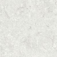 Керамогранит Grespania Fosil Perla Rec арт-82F245R — фото 4, Керамогранит
