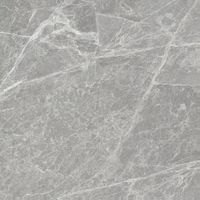 Керамогранит Sichenia Mus Eum Amazing Grey Mat арт-184913 — фото 1, Керамогранит