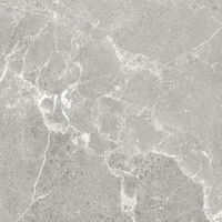 Товар: Керамогранит ProGRES Garcia Grey Матовый арт-NR0388 - фото 3 Керамогранит ProGRES Garcia Grey Матовый арт-NR0388 — фото 3, Керамогранит