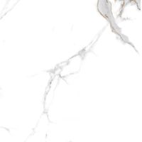 Товар: Керамогранит Creanza Statuario Seville Bianco Carving арт-CR6002-A - фото 11 Керамогранит Creanza Statuario Seville Bianco Carving арт-CR6002-A — фото 11, Керамогранит
