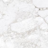 Керамогранит Absolut Gres Rossalia Natural gloss арт-AB1208G — фото 10, Керамогранит