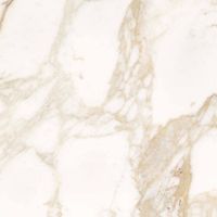 Товар: Керамогранит ProGRES Палацио С Бежевый Матовый арт-СNR0352 - фото 1 Керамогранит ProGRES Палацио С Бежевый Матовый арт-СNR0352 — фото 1, Керамогранит