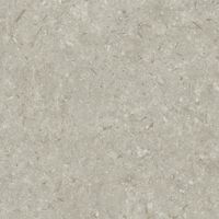 Керамогранит Grespania Fosil Gris Rec арт-81F266R — фото 7, Керамогранит