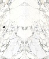 Товар: Керамогранит Stone Calacatta арт-SAR.UM.ABSTA.SF - фото 1 Керамогранит Stone Calacatta арт-SAR.UM.ABSTA.SF — фото 1, Керамогранит