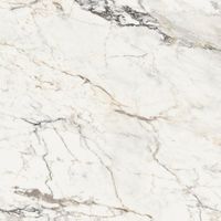 Керамогранит LaFaenza Aesthetica Paonazzetto Matte Ret арт-AE PAO6 120 RM — фото 1, Керамогранит