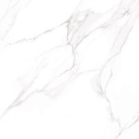 Керамогранит Alma ceramica Nevada Лаппатированный арт-GFU6060NVD07L — фото 10, Керамогранит