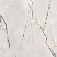 Керамогранит Flaviker PI.SA Supreme Treasure Greylac Platinum Nat Rett арт-PF60009059 — фото 1, Керамогранит