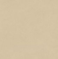 Керамогранит Atlas Concorde Italy Boost Natural Pro Sand Velvet Ret арт-AQ8M — фото 5, Керамогранит