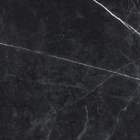 Керамогранит Cersanit Oriental Черный арт-16147 — фото 8, Керамогранит