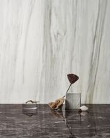 Товар: Керамогранит Fmg Maxfine Marmi Delicato cremo Lucidato 6mm арт-L315552MF6 - фото 1 Керамогранит Fmg Maxfine Marmi Delicato cremo Lucidato 6mm арт-L315552MF6 — фото 1, Керамогранит