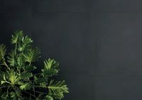 Керамогранит Keope Elements Design White RT арт-76A0 — фото 4, Керамогранит