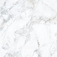 Керамогранит Porcelanite Dos Iguazu White Rectificado 1865 арт-POR_I1850_WH_100 — фото 6, Керамогранит