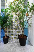 Товар: Керамогранит Sant Agostino Vita Mare Mix Mat арт-CSAMAMXM20 - фото 13 Керамогранит Sant Agostino Vita Mare Mix Mat арт-CSAMAMXM20 — фото 13, Керамогранит