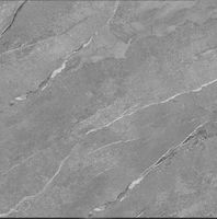 Керамогранит Pardis Ceramic Pazh Darbi Matt арт-164743M — фото 1, Керамогранит