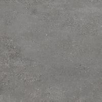 Керамогранит Refin Mold Iron R арт-MY48 — фото 1, Керамогранит