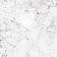 Керамогранит Absolut Gres Rossalia Natural gloss арт-AB1208G — фото 5, Керамогранит