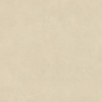 Керамогранит Atlas Concorde Italy Boost Natural Pro Oat 20mm Ret арт-ARB8 — фото 4, Керамогранит