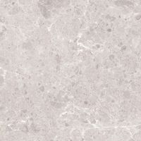 Товар: Керамогранит Grespania Artic Blanco Pul арт-81RC46P - фото 3 Керамогранит Grespania Artic Blanco Pul арт-81RC46P — фото 3, Керамогранит