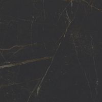 Керамогранит Laparet Olimpus Чёрный арт-SG163900N — фото 1, Керамогранит