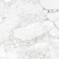 Товар: Керамогранит ProGRES Rossalia Natural арт-PRO 1208G - фото 10 Керамогранит ProGRES Rossalia Natural арт-PRO 1208G — фото 10, Керамогранит