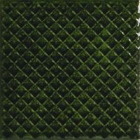 Товар: Настенная плитка Ape ceramica Carmen Mimosa Emerald арт-A041648 - фото 1 Настенная плитка Ape ceramica Carmen Mimosa Emerald арт-A041648 — фото 1, Настенная плитка