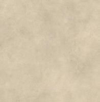 Керамогранит Atlas Concorde Italy Boost Expression Tan Matt Ret арт-AYVJ — фото 4, Керамогранит