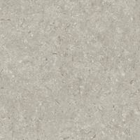 Керамогранит Grespania Fosil Gris Rec арт-81F266R — фото 8, Керамогранит