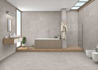 Керамогранит Arcadia Ceramica Equistone Graphite арт-RG6002-A — фото 7, Керамогранит