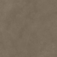 Керамогранит Atlas Concorde Italy Boost Natural Umber арт-A66F — фото 1, Керамогранит