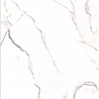 Товар: Керамогранит Pardis Ceramic Pazh Helen Polished арт-166742 - фото 6 Керамогранит Pardis Ceramic Pazh Helen Polished арт-166742 — фото 6, Керамогранит