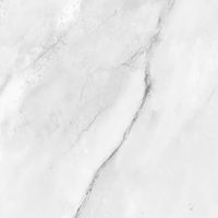 Керамогранит ProGRES Aquarelle Grey арт-PRO 1204G — фото 3, Керамогранит