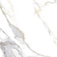 Керамогранит Pardis Ceramic Pazh Bulgari Polished арт-166741 — фото 6, Керамогранит