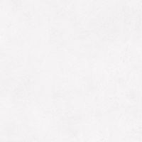 Керамогранит Alma ceramica Flora Лаппатированная арт-GFU6060FLO00L — фото 11, Керамогранит