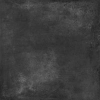 Керамогранит Alma ceramica Totem Матовый арт-GFU6060TTM20R — фото 8, Керамогранит