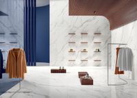 Керамогранит Graniti Fiandre Maximum Marmi Silver Root Natural 6mm арт-MMS32661530 — фото 5, Керамогранит