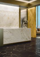 Товар: Керамогранит Roberto Cavalli Home The Wild Spirit 0 Metal Brass Rt арт-502031 - фото 7 Керамогранит Roberto Cavalli Home The Wild Spirit 0 Metal Brass Rt арт-502031 — фото 7, Керамогранит