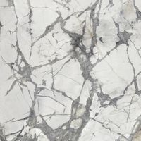 Керамогранит Xlight (Porcelanosa Grupo) Invisible White Polished 120 арт-100302731 — фото 1, Керамогранит