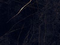 Товар: Керамогранит Flaviker PI.SA Supreme Evo Noir Laurent Ret арт-0012603 - фото 1 Керамогранит Flaviker PI.SA Supreme Evo Noir Laurent Ret арт-0012603 — фото 1, Керамогранит