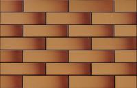 Товар: Настенная плитка Cerrad Honey Glazed Facade арт-5903263449850 - фото 1 Настенная плитка Cerrad Honey Glazed Facade арт-5903263449850 — фото 1, Настенная плитка